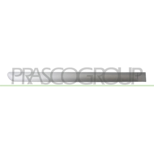 PRASCO Zier-/Schutzleiste, T&uuml;r PG4221463