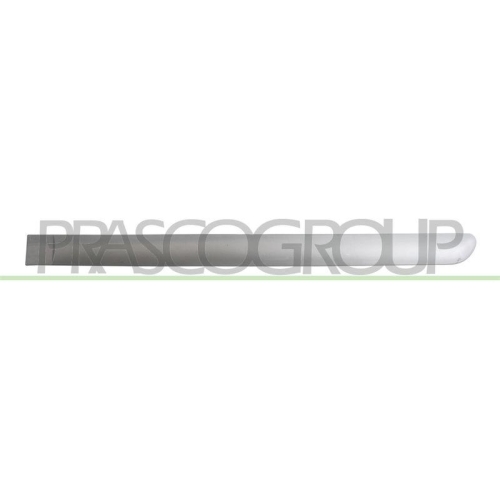 PRASCO Zier-/Schutzleiste, T&uuml;r PG4221464