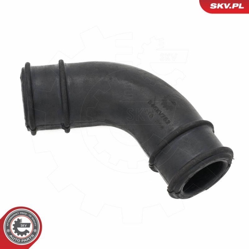 ESEN SKV Schlauch, Kurbelgeh&auml;useentl&uuml;ftung 54SKV752