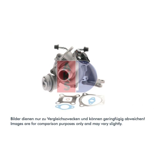 AKS DASIS Lader, Aufladung 095045N