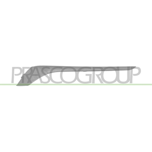 PRASCO Zier-/Schutzleiste, Sto&szlig;f&auml;nger OP0641243