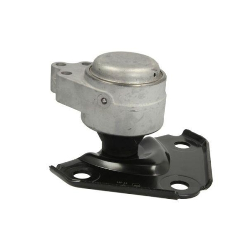 REINHOCH Lagerung, Motor RH11-4027