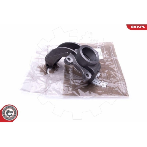 ESEN SKV Achsschenkel, Radaufh&auml;ngung