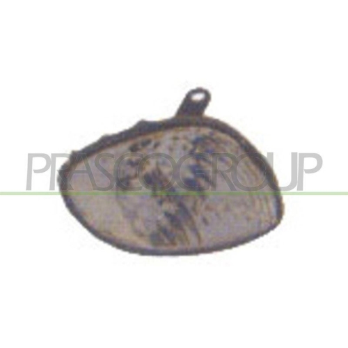 PRASCO Blinkleuchte TYC TY0874013