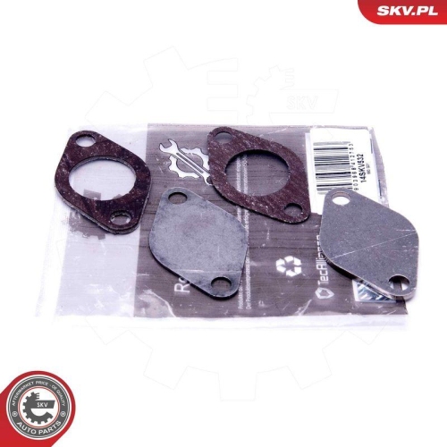 ESEN SKV Reparatursatz, AGR-Ventil 14SKV532