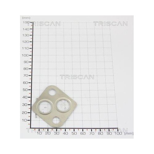 TRISCAN Dichtung 8813 9973