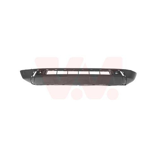 VAN WEZEL Spoiler 4907500
