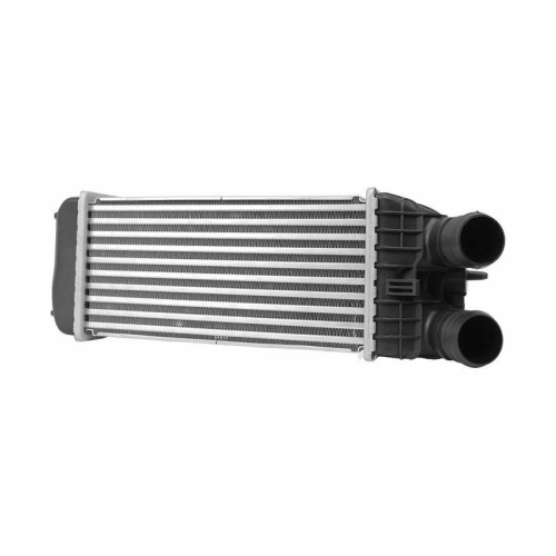 HELLA Ladeluftk&uuml;hler 8ML 366 340-621