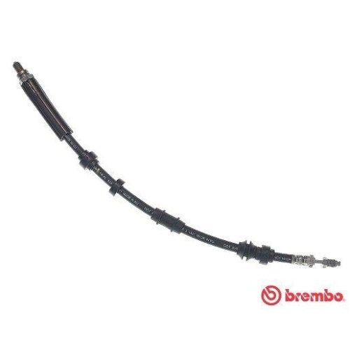 BREMBO Bremsschlauch ESSENTIAL LINE