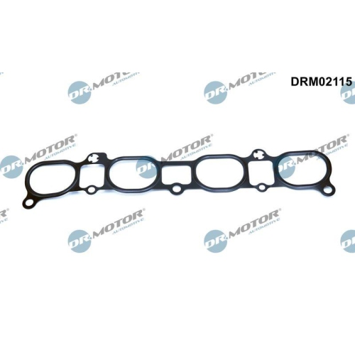 Dr.Motor Automotive Dichtung, Ansaugkr&uuml;mmer