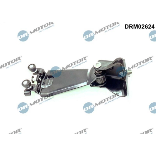 Dr.Motor Automotive Rollenf&uuml;hrung, Schiebet&uuml;r DRM02624