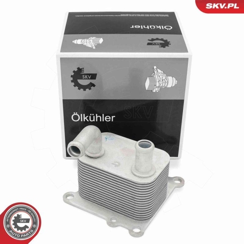 ESEN SKV &Ouml;lk&uuml;hler, Motor&ouml;l