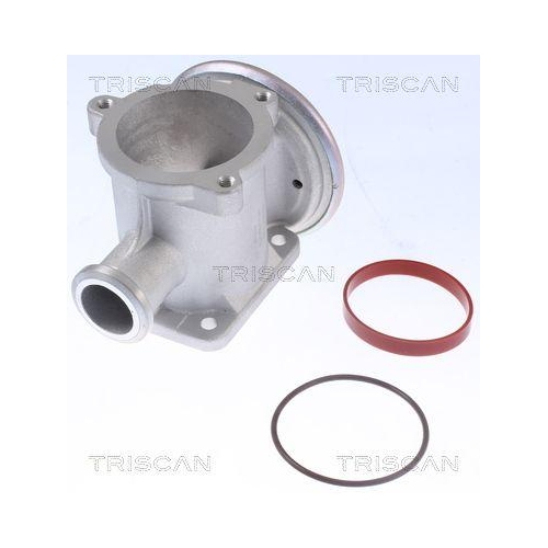 TRISCAN AGR-Ventil 8813 11105