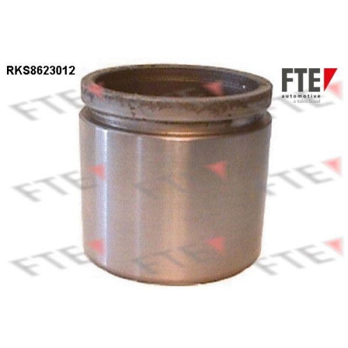 FTE Kolben, Bremssattel 9313015