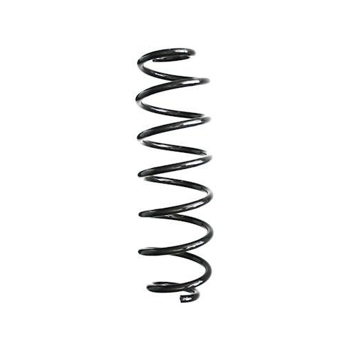 SPIDAN Fahrwerksfeder GKNW10310
