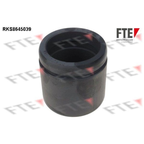 FTE Kolben, Bremssattel 9313073