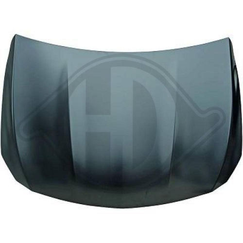 DIEDERICHS Motorhaube 1641000