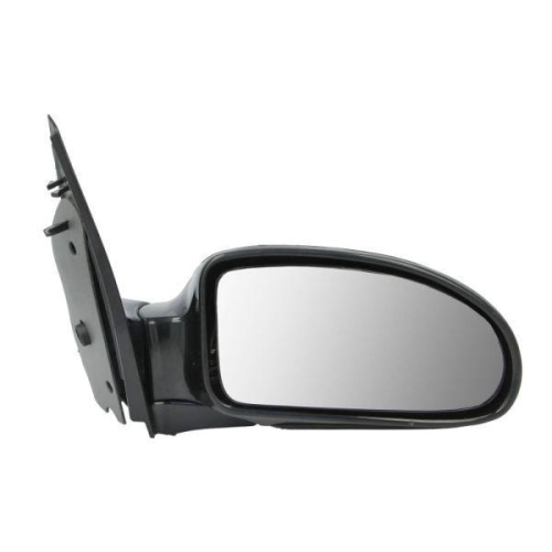 BLIC Au&szlig;enspiegel 5402-04-1129399P