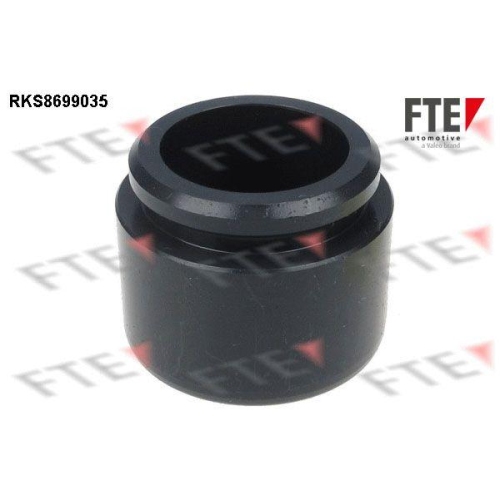 FTE Kolben, Bremssattel 9313098