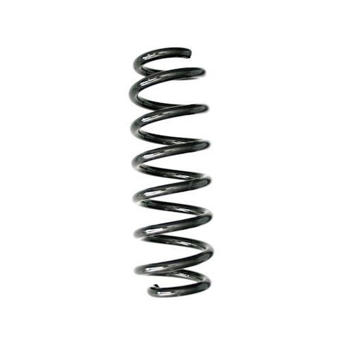 SPIDAN Fahrwerksfeder GKNW10311