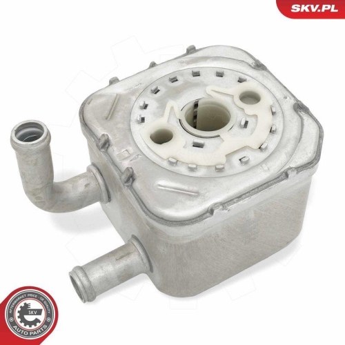 ESEN SKV &Ouml;lk&uuml;hler, Motor&ouml;l 31SKV292