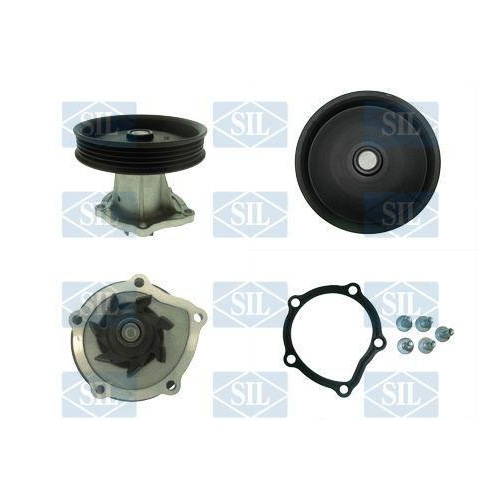 Saleri SIL Wasserpumpe, Motork&uuml;hlung PA1587