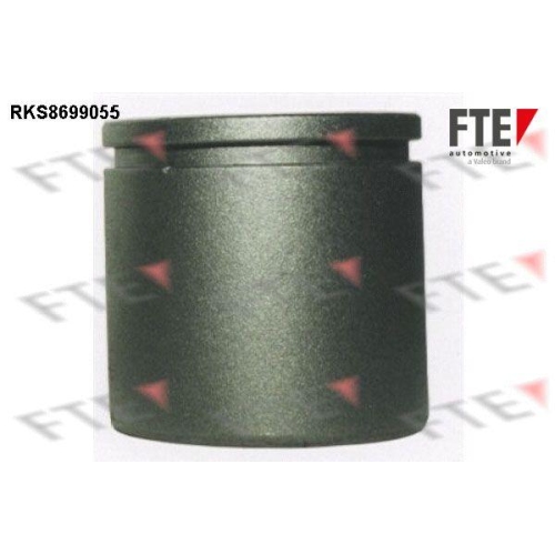 FTE Kolben, Bremssattel 9313104