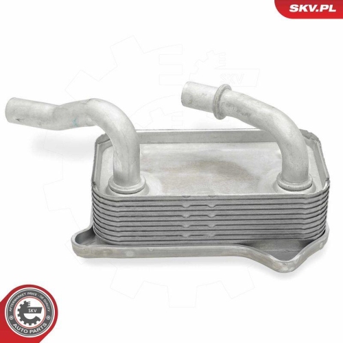 ESEN SKV &Ouml;lk&uuml;hler, Motor&ouml;l 31SKV295