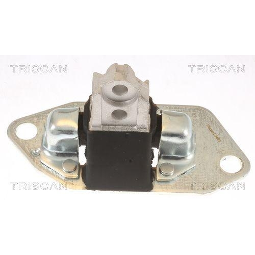TRISCAN Lagerung, Motor 8505 27100