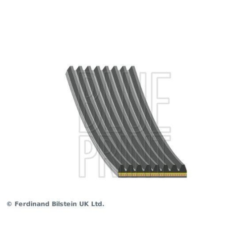 BLUE PRINT Keilrippenriemen AD08A1055