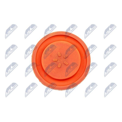 NTY Zylinderkopfhaube BPZ-PL-006