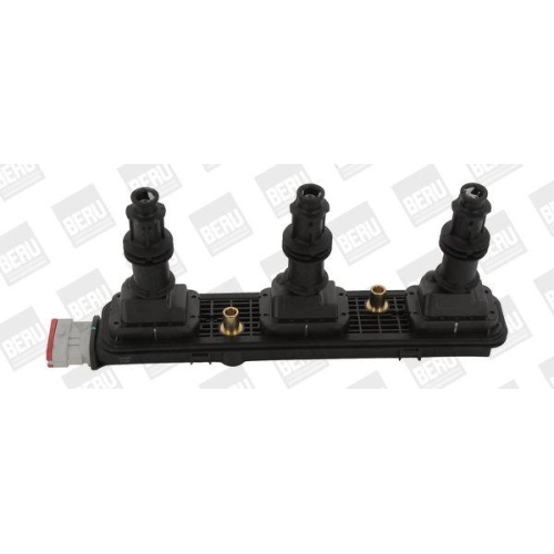 BorgWarner (BERU) Z&uuml;ndspule ZSE153