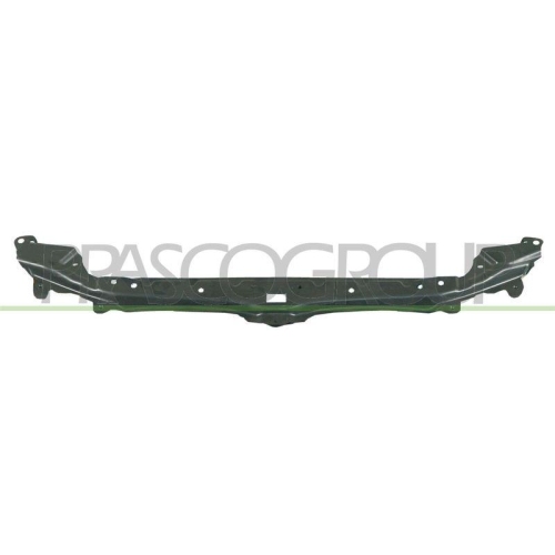 PRASCO Frontverkleidung BM0463201