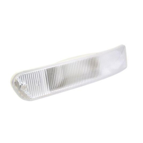 TRUCKLIGHT Blinkleuchte CL-IV002R