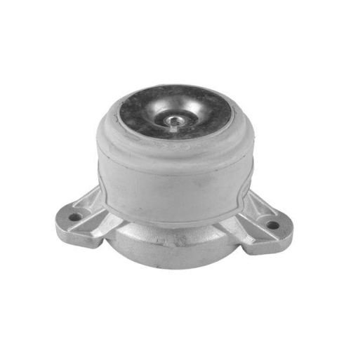 TEDGUM Lagerung, Motor TED18700