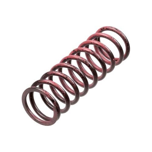 TRW Kupplungsfedernsatz MEF313-6