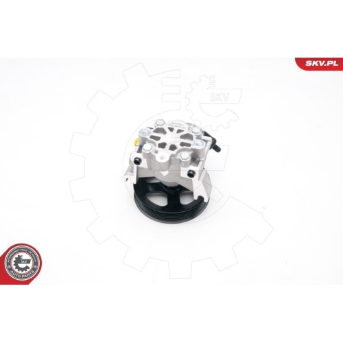 ESEN SKV Hydraulikpumpe, Lenkung