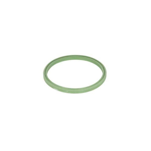 THERMOTEC Dichtring, Ladeluftschlauch DXW008TT