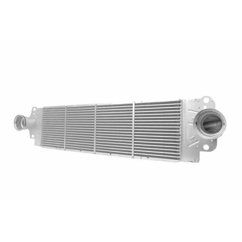 HELLA Ladeluftk&uuml;hler 8ML 366 340-751