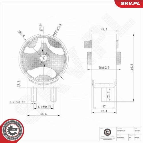 ESEN SKV Lagerung, Motor 75SKV021