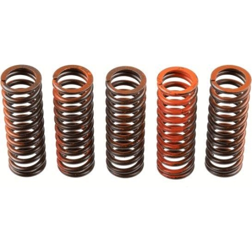 TRW Kupplungsfedernsatz MEF323-5