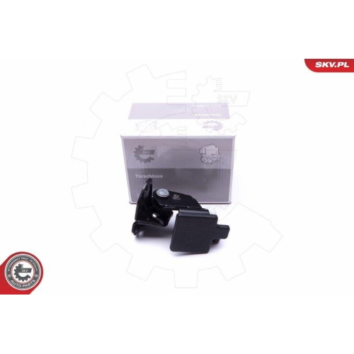 ESEN SKV Rollenf&uuml;hrung, Schiebet&uuml;r