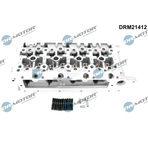 Dr.Motor Automotive Zylinderkopf DRM21412