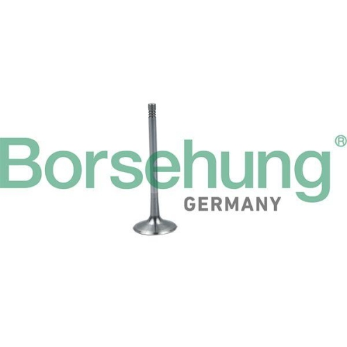 Borsehung Einlassventil B19026