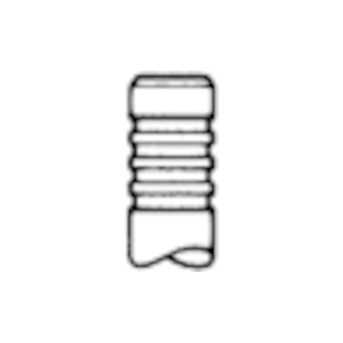 TRW Engine Component Einlassventil 25316