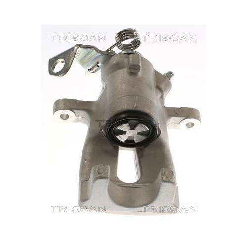 TRISCAN Bremssattel 8175 24225