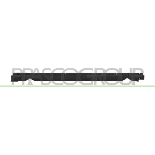 PRASCO Einstiegsleiste TS6001403
