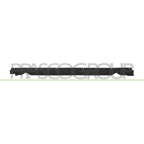PRASCO Einstiegsleiste TS6001404
