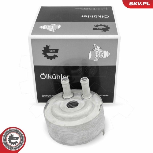 ESEN SKV &Ouml;lk&uuml;hler, Motor&ouml;l 31SKV314