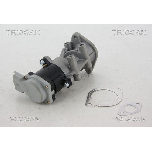 TRISCAN AGR-Ventil 8813 17008